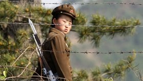 Vězeňské tábory v Severní Koreji patří k nekrutějším místem na světě.