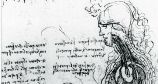 Až do této chvíle se předpokládalo, že mužský pohlavní orgán byl při vstupu do pochvy rovný nebo ve tvaru písmene „S“. Na obrázku: „Kopulace“, jak si styk představoval a kreslil Leonardo da Vinci v 15. století, zobrazoval penis jako rovný.