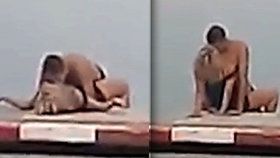 Sex na pláži v Thajsku: Pár si nevšímal lidí kolem ani psů.