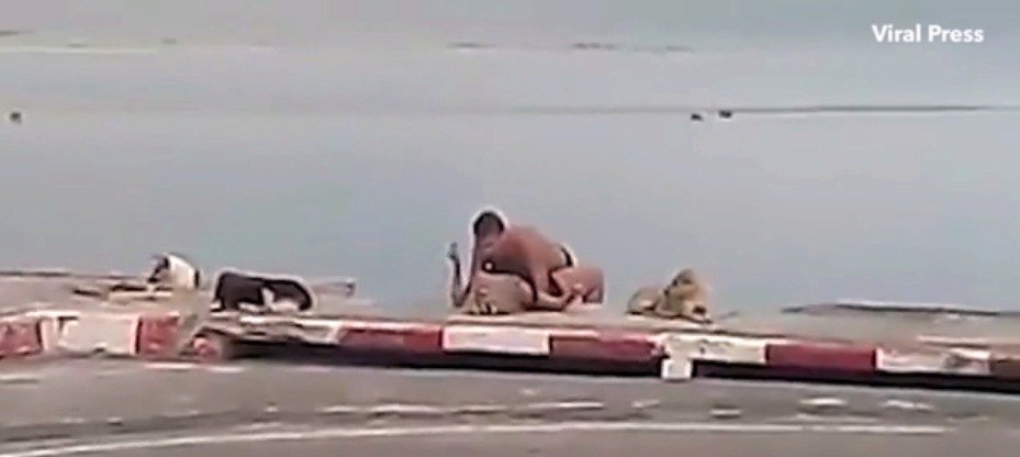 Sex na pláži v Thajsku: Pár si nevšímal lidí kolem ani psů.