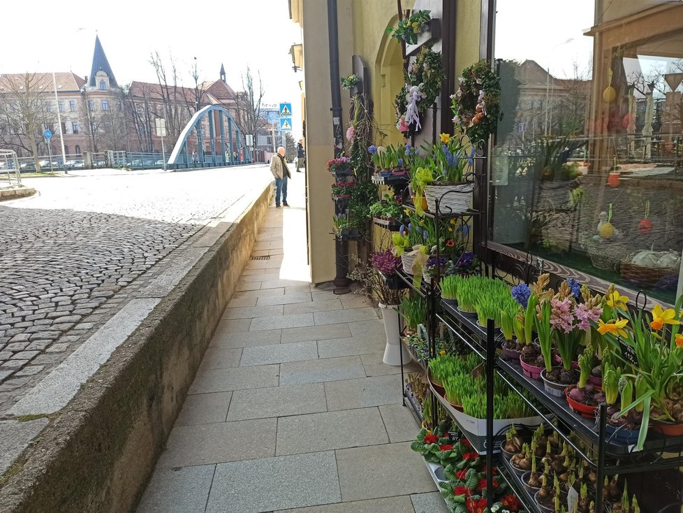 Jeden z prvních sexshopů v Česku býval na půl cesty mezi biskupstvím a věznicí (budova za mostem) v Českých Budějovicích. Dnes je tam vyhlášené květinářství.