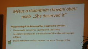 Seminář o potřebách obětí znásilnění a situaci v Česku proběhl na půdě Poslanecké sněmovny.