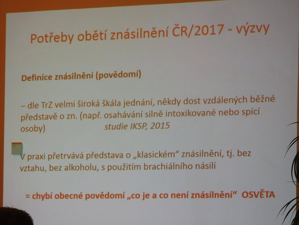 Seminář o potřebách obětí znásilnění a situaci v Česku proběhl na půdě Poslanecké sněmovny.