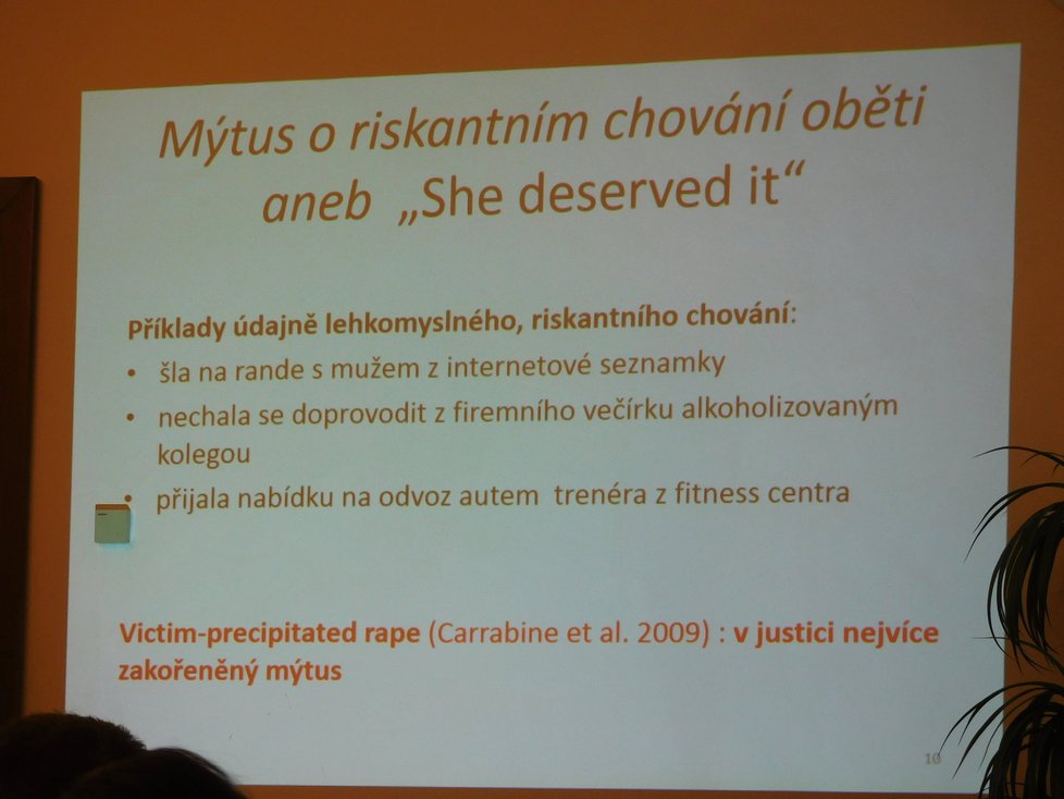 Seminář o potřebách obětí znásilnění a situaci v Česku proběhl na půdě Poslanecké sněmovny.