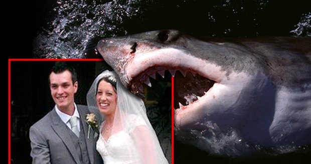 Žralok zabil na líbábkách novomanžela Iana Redmonda