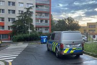 Smrt ženy v panelovém domě: Na západě Prahy spáchala sebevraždu