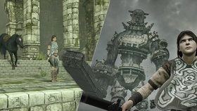 Shadow of the Colossus pro PlayStation 4 je umělecké dílo.
