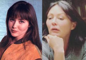 Shannen Doherty, Brenda Walsh