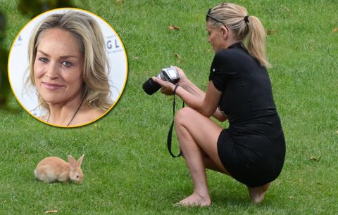 Foto jako důkaz: Herečka Sharon Stone (54) je na zajíčky!