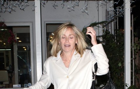 Sharon Stone: V 51 je sexy i bez make-upu!