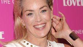 Sharon Stone na newyorské premiéře filmu Lovelace.