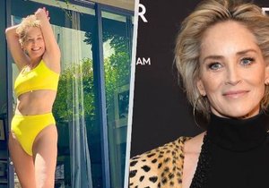 Sharon Stone vystavila své tělo v plavkách.