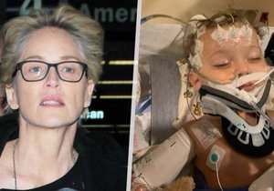 Synovec Sharon Stone skončil v nemocnici