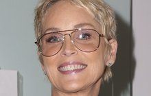 Sharon Stone »Základní instinkt« nezapře: I po 25 letech užívá slavnou pózu... 