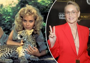 Sharon Stone přiznala bizarní zážitek z počátku kariéry. Vlivný ředitel jí strčil penis bez okolků přímo do obličeje.