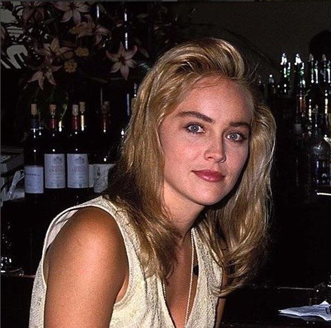 Sharon Stone v roce 1990