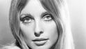 Sharon Tate