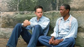 Vykoupení z věznice Shawshank: 10 věcí, které musíte vědět o filmu a Timu Robbinsovi, hlavní hvězdě Varů