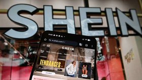 Francie vyšetřuje Shein kvůli prodeji erotických panenek s dětskou podobou.