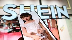 Francie vyšetřuje Shein kvůli prodeji erotických panenek s dětskou podobou.