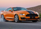 Ford Mustang v ostrém provedení Shelby GT-S si teď můžete jen půjčit 