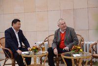 Sklenice piva a sázení stromu: V Lánech vítali čínského prezidenta
