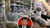 Naše vláda stojí za vznikem pandemie, tvrdí Číňan s kontakty ve straně. Zmínil stadion s cizinci
