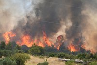 Ohnivé peklo u chorvatského letoviska: Velký požár a evakuace! Plameny spalují okolí města Šibenik