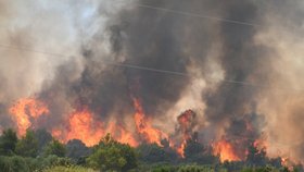 Chorvatsko: Požár v oblasti Šibeniku v severní Dalmácii (13.7.2023)