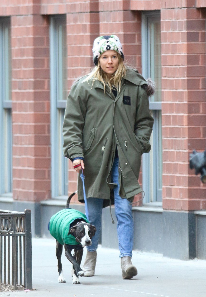 Herečka Sienna Miller na procházce se svým psem v New Yorku