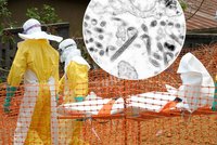 Ebola už není mezinárodní hrozbou? Zdravotníci opět oznámili konec epidemie