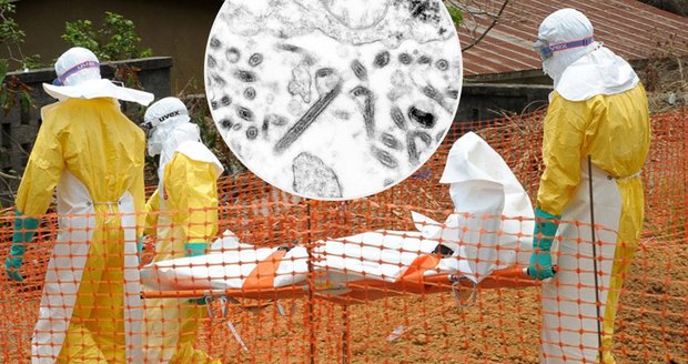 Nové zjištění: Ebolu mohou mít muži ve spermatu až 9 měsíců