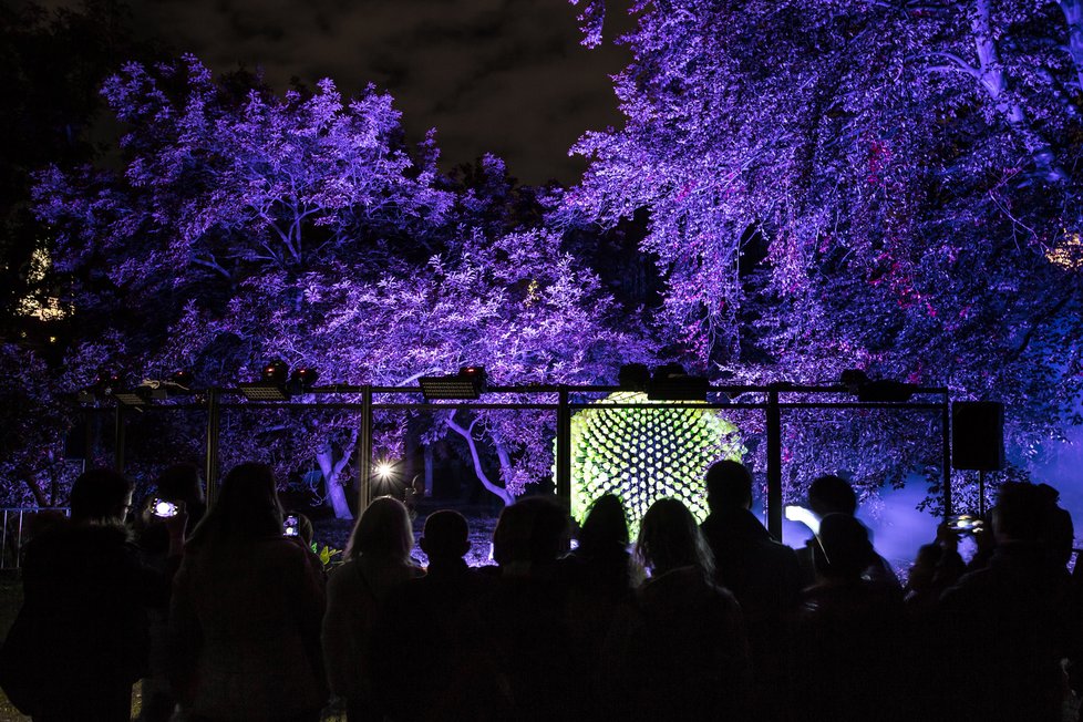 Signal Festival se chce letos vrátit do ulic Prahy.