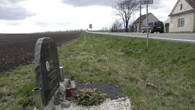 Silnici I/53 mezi Pohořelicemi a Znojmem lemují desítky pomníčků připomínající oběti dopravních nehod.