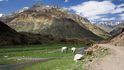 Údolí Lahaul