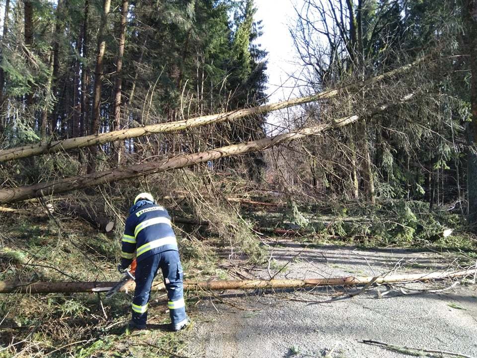 Plné ruce práce měli s odklízením popadaných stromů na silnici také dobrovolní hasiči z Kuniček na Blanensku.