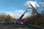 Silný vítr v Praze ulomil strom a odhodil ho na silnici. (13. března 2021)