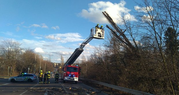 Silný vítr v Praze ulomil strom a odhodil ho na silnici. (13. března 2021) Silný vítr v Praze ulomil strom a odhodil ho na silnici. (13. března 2021)