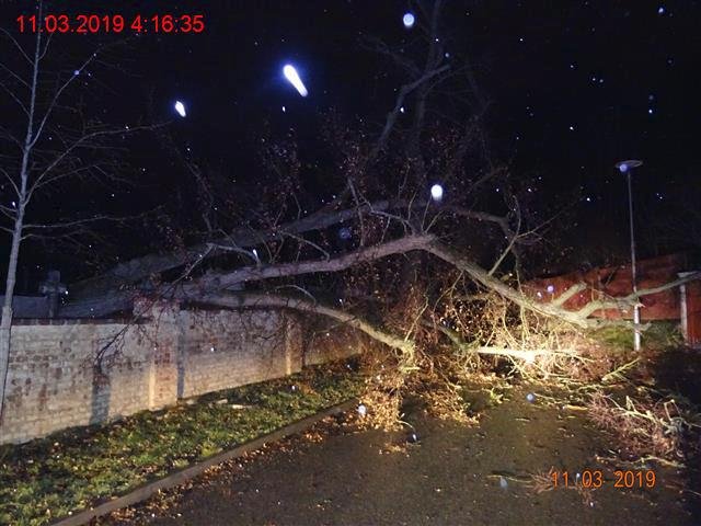 Pernou noc zažili i brněnští strážníci, kteří hasičům pomáhali s odstraňováním škod, které zavinil silný vítr.