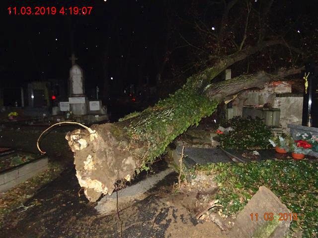 Pernou noc zažili i brněnští strážníci, kteří hasičům pomáhali s odstraňováním škod, které zavinil silný vítr.