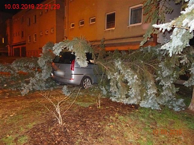 Pernou noc zažili i brněnští strážníci, kteří hasičům pomáhali s odstraňováním škod, které zavinil silný vítr.