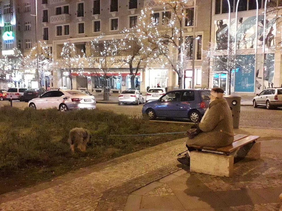 Oslavy v centru Prahy jsou zatím poklidné