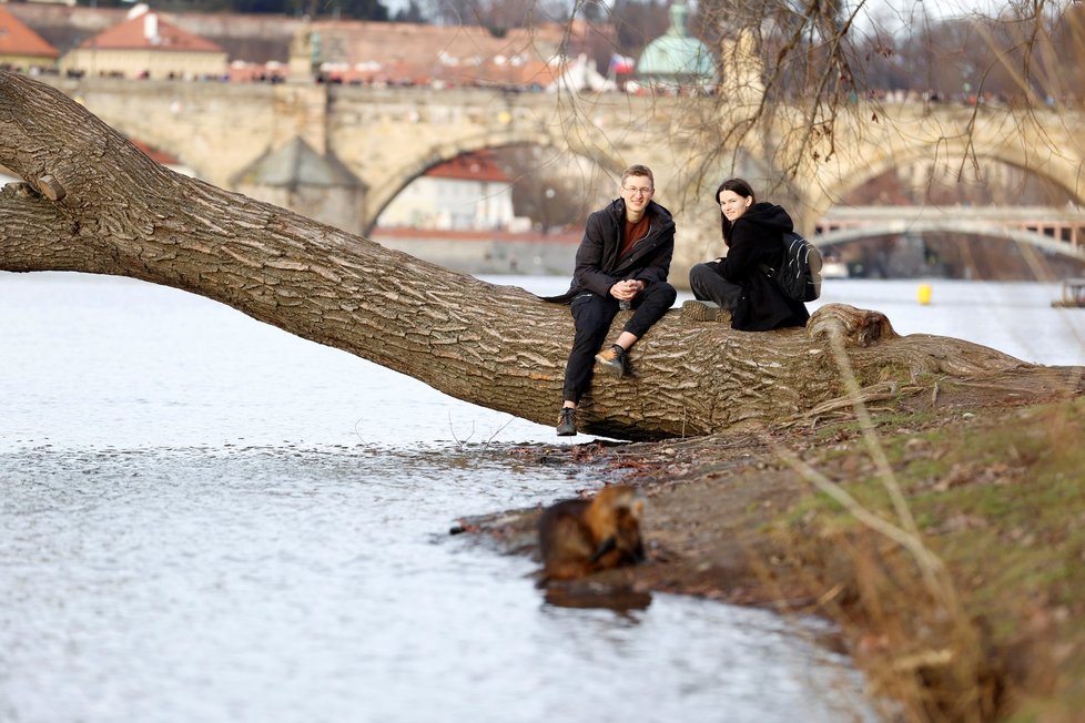 Silvestrovské počasí v Česku připomínalo spíš jaro. (31.12.2022)