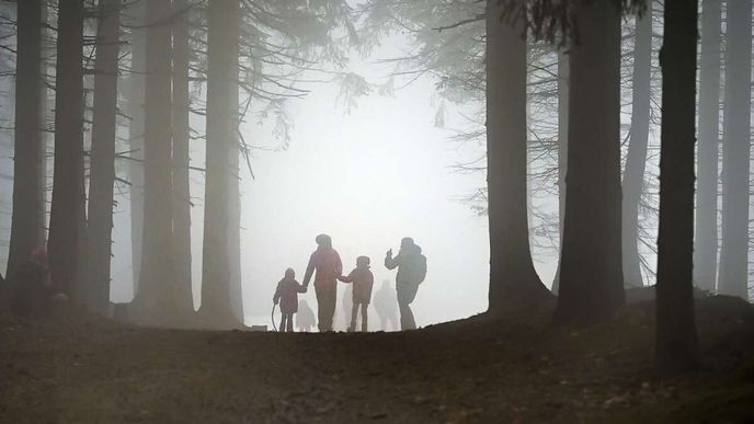 Na vrchol Javořice se dostanete libovolnými cestami. Na vrchol Javořice se dostanete libovolnými cestami.