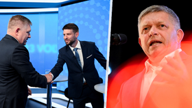 Politolog: Babiš ani Pavel by Slovákům neměli radit, koho volit. „Tyto lapsy dělal už Zeman“ 