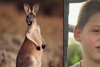 Chlapec (7) se ztratil v australské buši: Zachránil ho klokan, který ho zahříval přes noc!