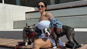 Influencerka Simona (28) zachránila buldočka Baileyho před tyrany: Majitelé s ním hodili přes plot!