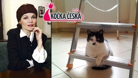Nejkrásnější Kočka Česka je podle Postlerové její Františka!