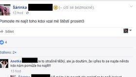 Maminka Simonky na Facebooku prosí veřejnost o pomoc při hledání viníka nehody, která jí vzala dceru.