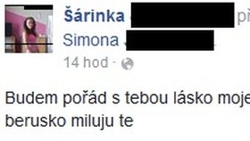 Maminka Simonky truchlí a na Facebooku vzpomíná na zesnulou dcerku.